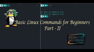 Linux commands for beginners part 2 | Manjaro Linux | basic linux commands | cat