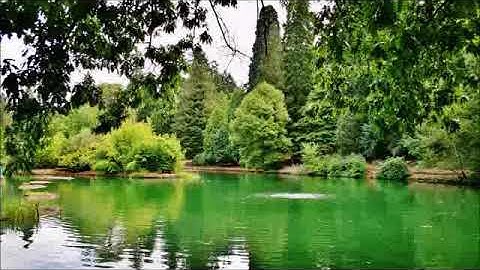 سورة الصف تلاوة خاشعة للشيخ عبدالرحمن السديس