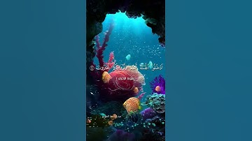 #quran #تلاوة_خاشعة #راحة_نفسية #اكسبلور #دويتو #duet #لايك #تيك_توك #حالات_واتس