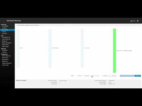 NetVault Backup 10 – Device Activity