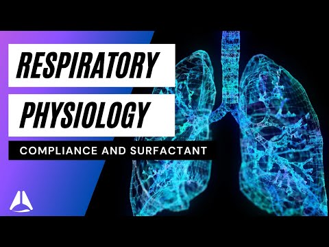 Respiratory physiology lecture 3 - compliance and surfactant - Part 1 anaesthesia