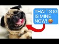 r/EntitledParents | “YOUR DOG IS MINE NOW!” (Reddit Stories)