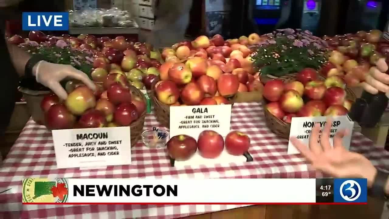 20 TOWNS IN 20 DAYS Stew Leonard's in Newington YouTube