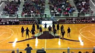ACHS 2011-12 dance team