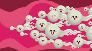What causes yeast infections, and how do you get rid of them? - Liesbeth Demuyser