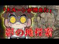 【#エルデンリングDLC】影の地探索が過酷すぎて叫びが止まらない！ソウルライク大好きっ子のプレイ 【ELDEN RING SHADOW OF THE ERDTREE】【アライネコ】