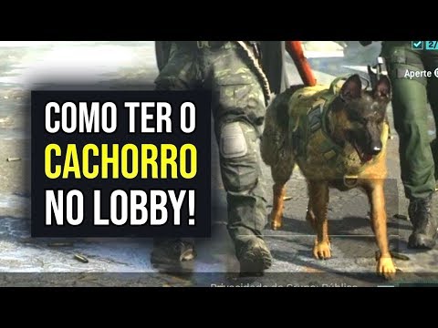 Vídeo: Cachorro COD Ganha Pele De última Geração No PC