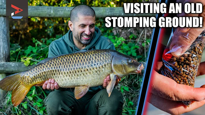 Going Back to my Roots | Ali Hamidi Carp Fishing |...