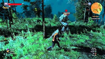 The Witcher 3: Wild Hunt IMPOSSIBLE ENEMY - EARTH ELEMENTAL NO LEVEL STONE BOSS ENEMY