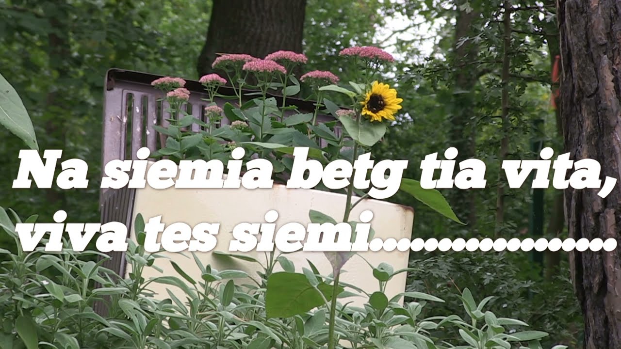 Patgific in den Winter 2021/22