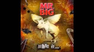 Mr. Big - Stranger In My Life [HD sound]