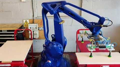 Global Robots Custom Made Gripper Video
