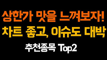 [주식] 상한가 급등주 맛을 느껴볼만한 주식추천과 관심종목 top2