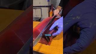 Download Mp3 Why People Throw Away Tuna’s Most Nutritious Part #shorts #short Gudang lagu Download Mp3 Why People Throw Away Tuna’s Most Nutritious Part #shorts #short