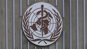 WHO Holds Crisis Meeting on Zika Virus