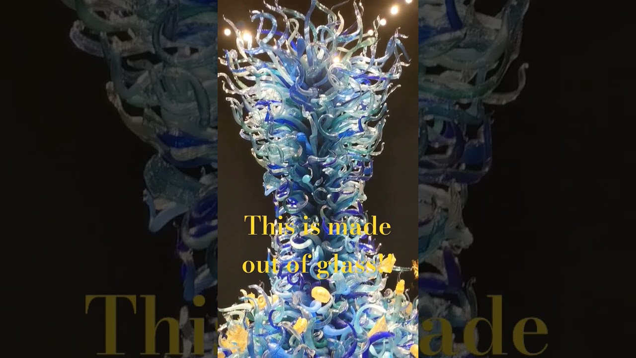 How Did They Even Make This???? 