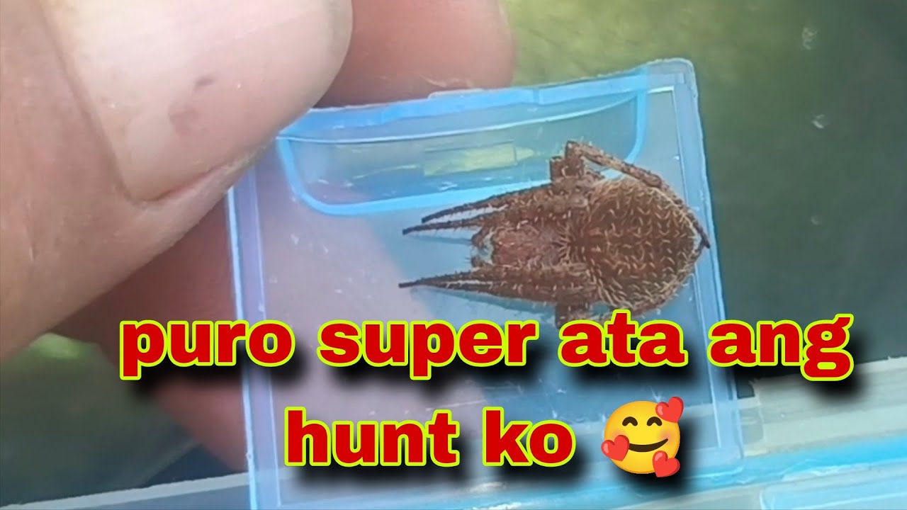 Puro super ata ang hunt ko🥰