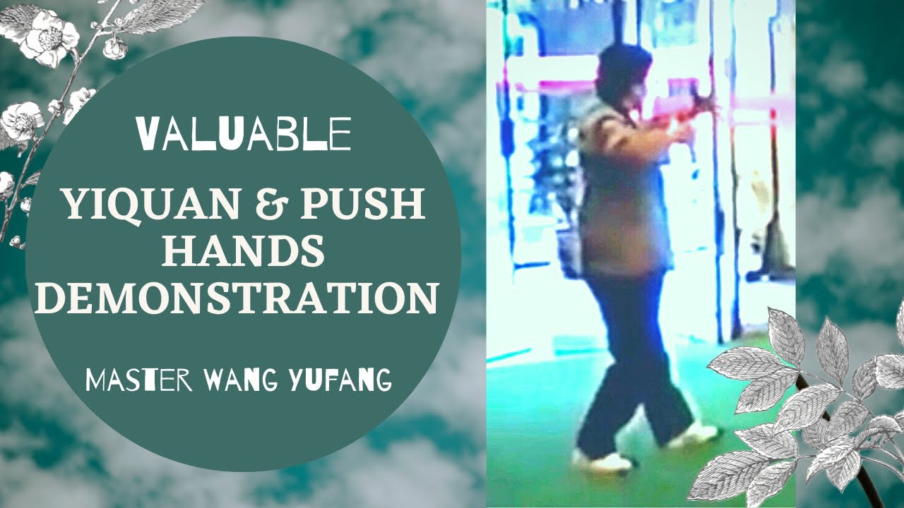 Yiquan Valuable Footage & Push Hands  #yiquan #pushhands #wangyufang