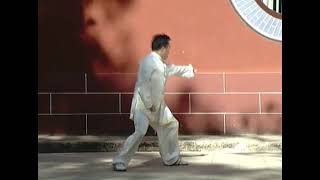 Sha Guozheng style Xing Yi Big Form