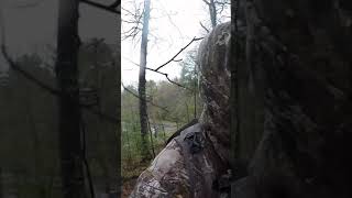 Found A Deer Antler While Turkey Hunting