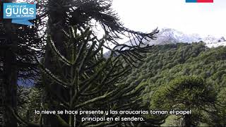 Sendero Quinchol - Ricardo Lagos Palma.