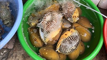 Đi chợ Cái Rồng Vân Đồn -Quảng Ninh với tớ nhé