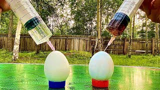 Experiment with egg and coca cola/ эксперимент с яйцом и кока-колой