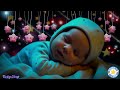 Soothing Baby Sleep Music 🌜 Mozart Brahms Lullaby 🎼 Fall Asleep Fast with Gentle Lullaby Calm