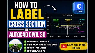 How to Label Cross Sections in AutoCAD Civil 3d | Offset and Elevation Label on Cross Section View Net Worth