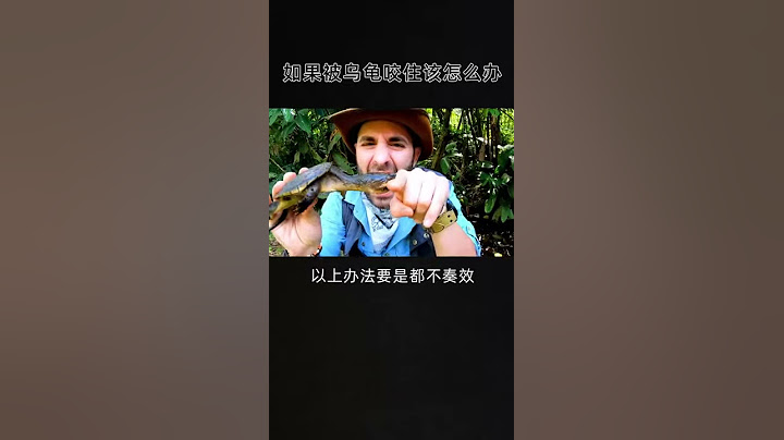 如果被烏龜咬住該怎麼辦 - 天天要聞