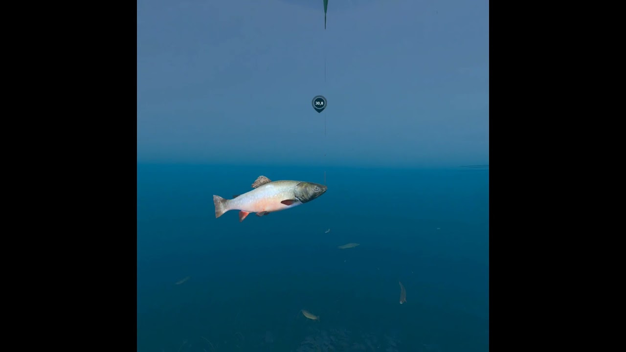 Ultimate Fishing Simulator VR.Летняя рыбалка.
