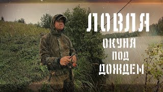 Ловля окуня под дождем. Каролинская оснастка