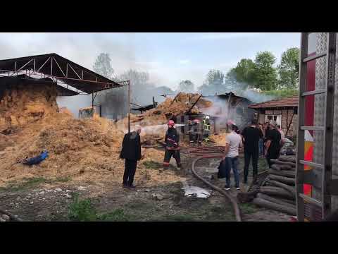 besi çiftliği alevlere teslim oldu, 20'den fazla kurbanlık telef oldu