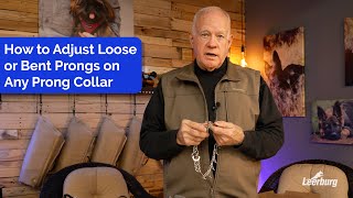 How to Adjust Loose or Bent Prongs on Any Prong Collar