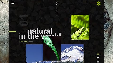 Full Stack Web Developer | Front-end | Back-end | WordPress ,Shopify..