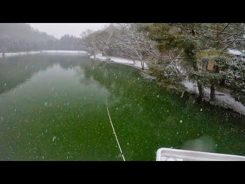 Vídeo: Na Primeira Neve. Pesca Em Novembro