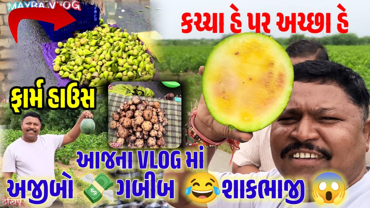 આજે ગયા ગામડે શાહપુર ||  #MAYRA_VLOG #શાહપુર #VLOG #YOUTUBE 