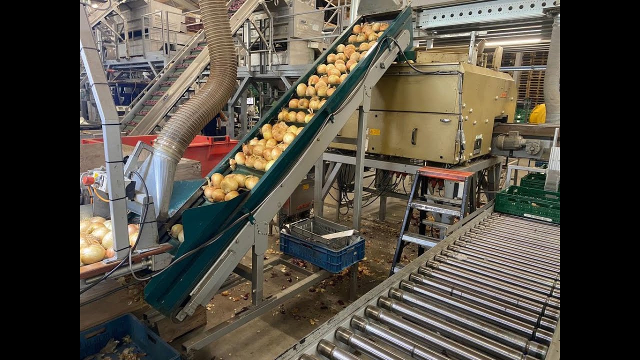 962-51: J. Affeldt Maschinenfabrik GmbH weighing and packaging line for onions