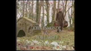 Mulberry Theme