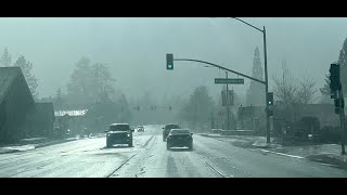 Driving into the ❄️SNOW☃️. Second Half of Storm is Coming Down Now. Big Bear is Loving this 4/14/24