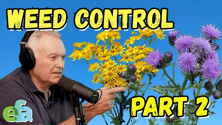 WEEDS PART 2: What They’re Really Telling You About Your Soil