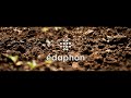 La croissance des plantes optimise grce  ldaphon