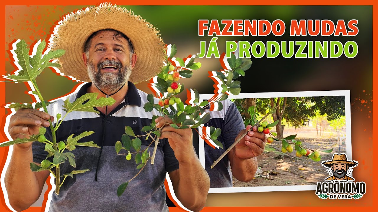 TÉCNICA para enraizar MUDAS rápido 