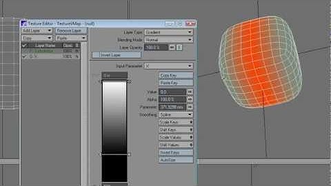 LightWave Weight - Textured point
