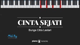 Cinta Sejati (Male Key) Bunga Citra Lestari (Karaoke Piano Cover)