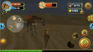►#2 Cheetah Family Sim By Area730 - Android Gameplay - Episode 2[HD] screenshot 2