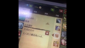 Order & Chaos 2018 Guardian Bug