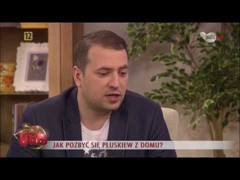 Jak pozbyć się pluskiew z domu - Kasia Cichopek i Eryk Połeć TV PULS
