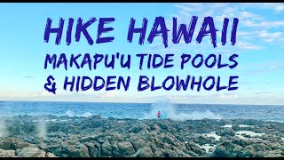 BEST HIKES HAWAII- Makapu&#39;u Hike with HIDDEN Tidepools and Secret Blowhole Spot