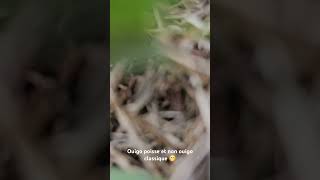 Fail Longue Attente Pour Ce Ouigo Puis Cest Le Drame